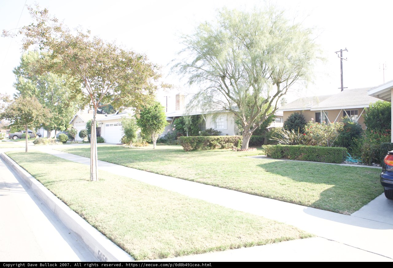 A Peaceful Suburban Street