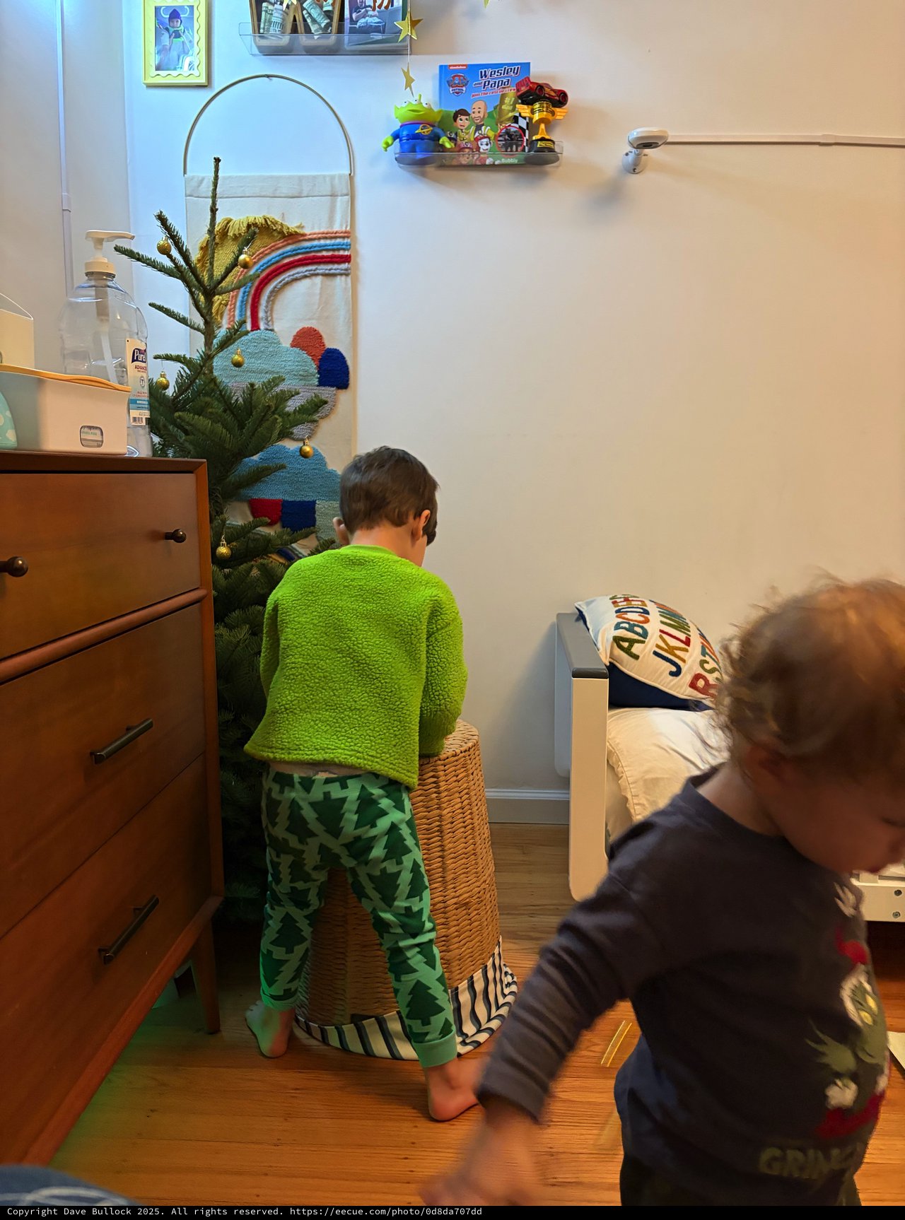 Brothers Decorating Christmas Tree Together in Bedroom