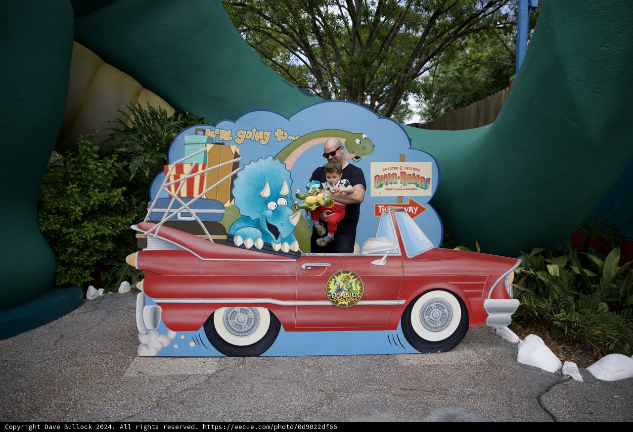 Wild Rides and High Tides