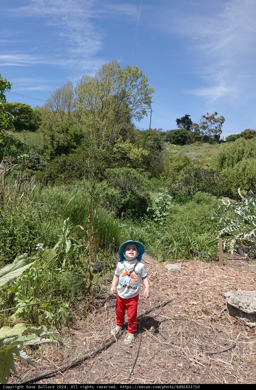 Little Explorer in the Wilderness