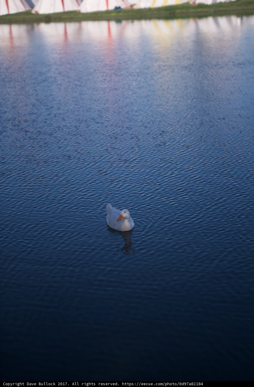 Rainbow Reflections on a Tranquil Lake