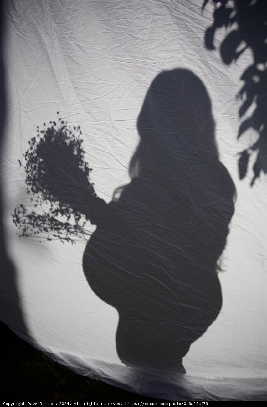 Shadows of Expectancy