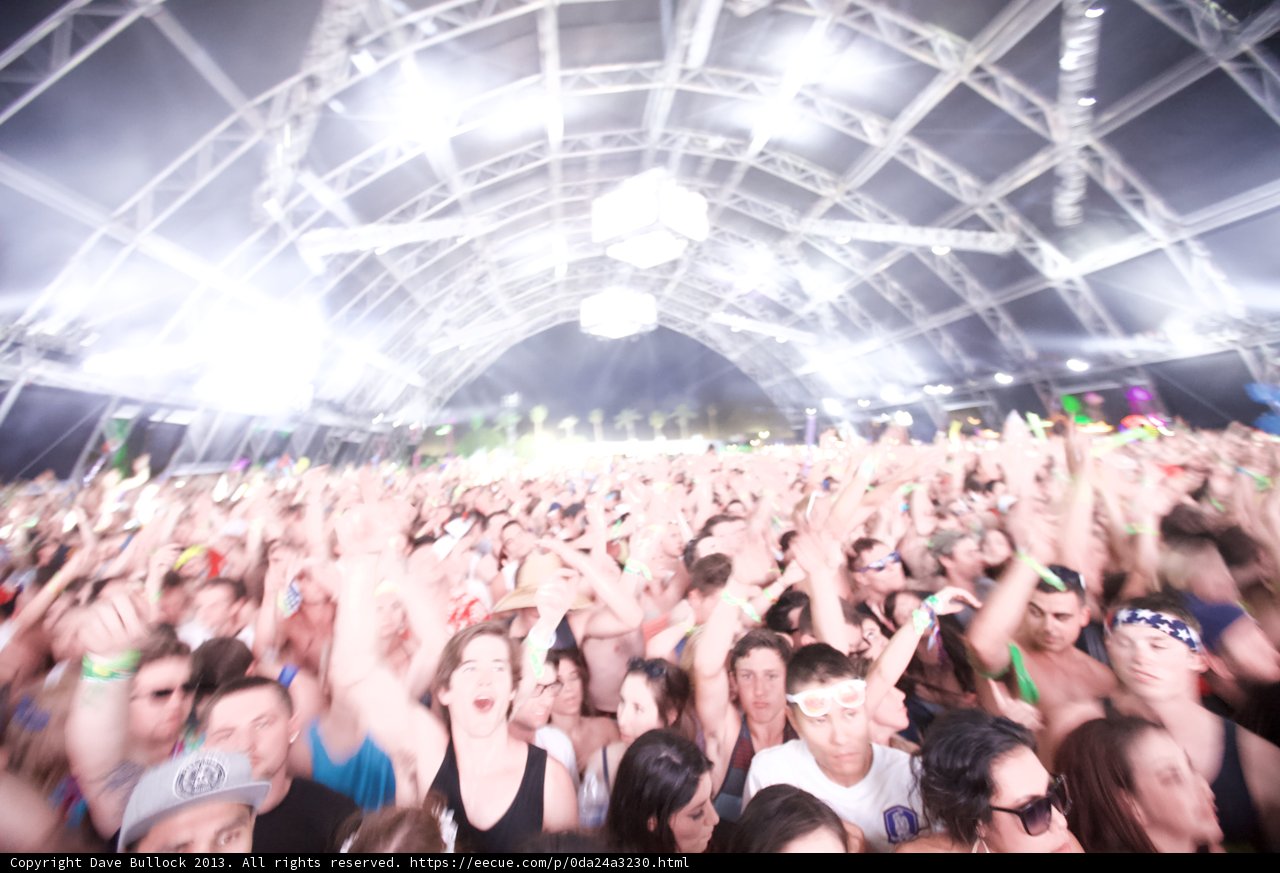 Coachella Music Festival Crowd