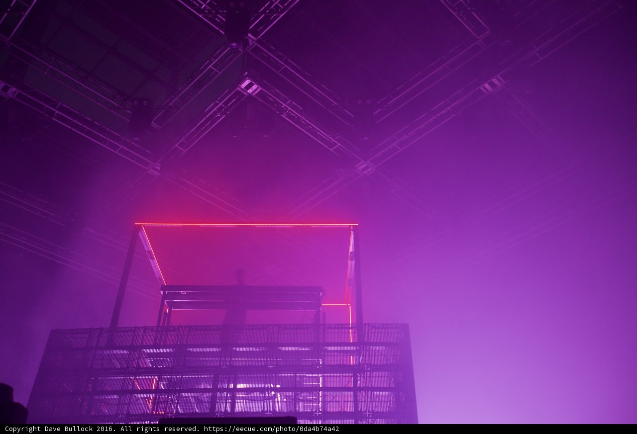 Purple Haze