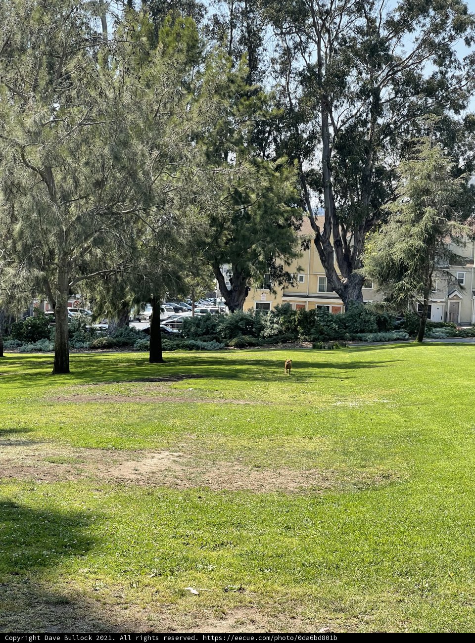 Relaxing in Jefferson Square Park