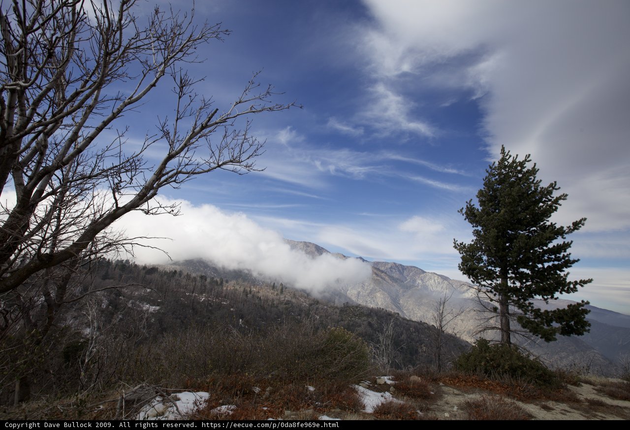 Solitary Majesty