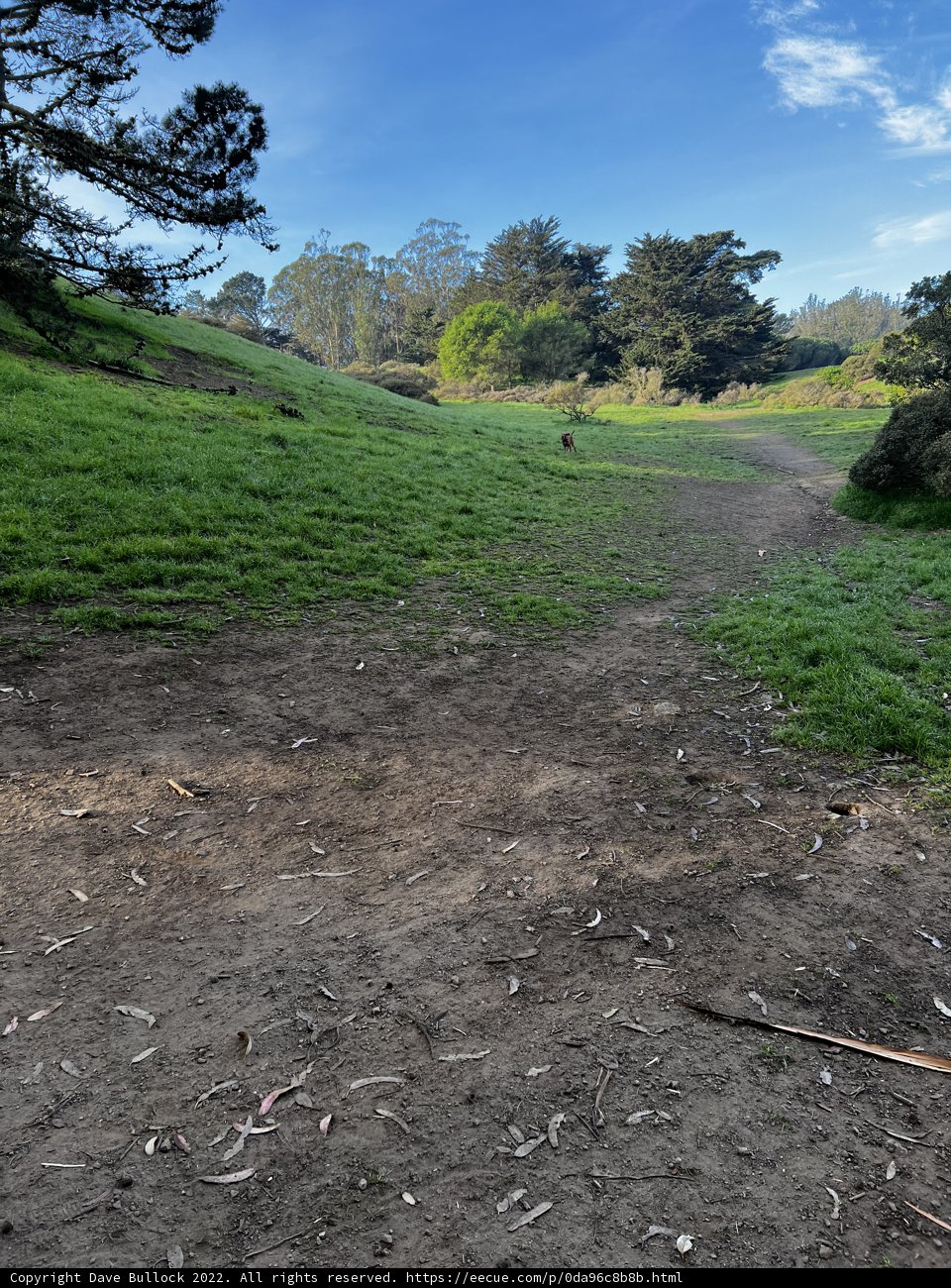 Along the Grassy Trail