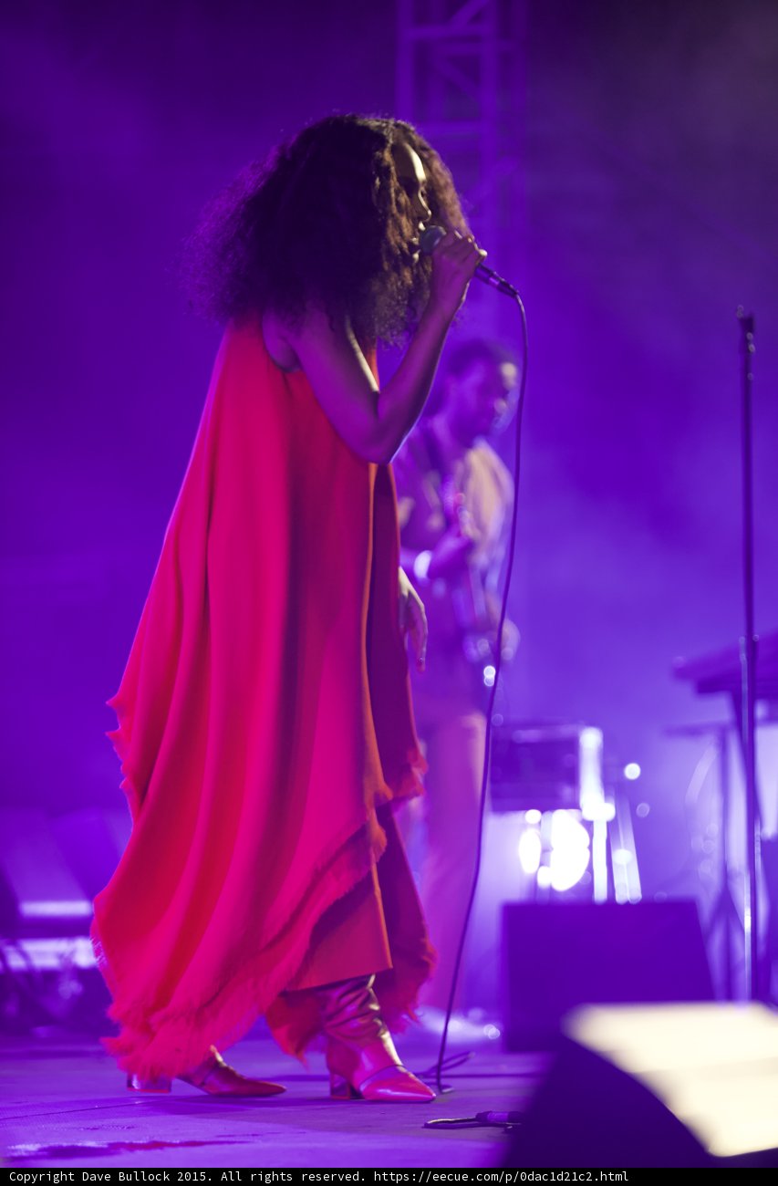 Solange Full Body Hair Covering Face Guitarist Purple Blue