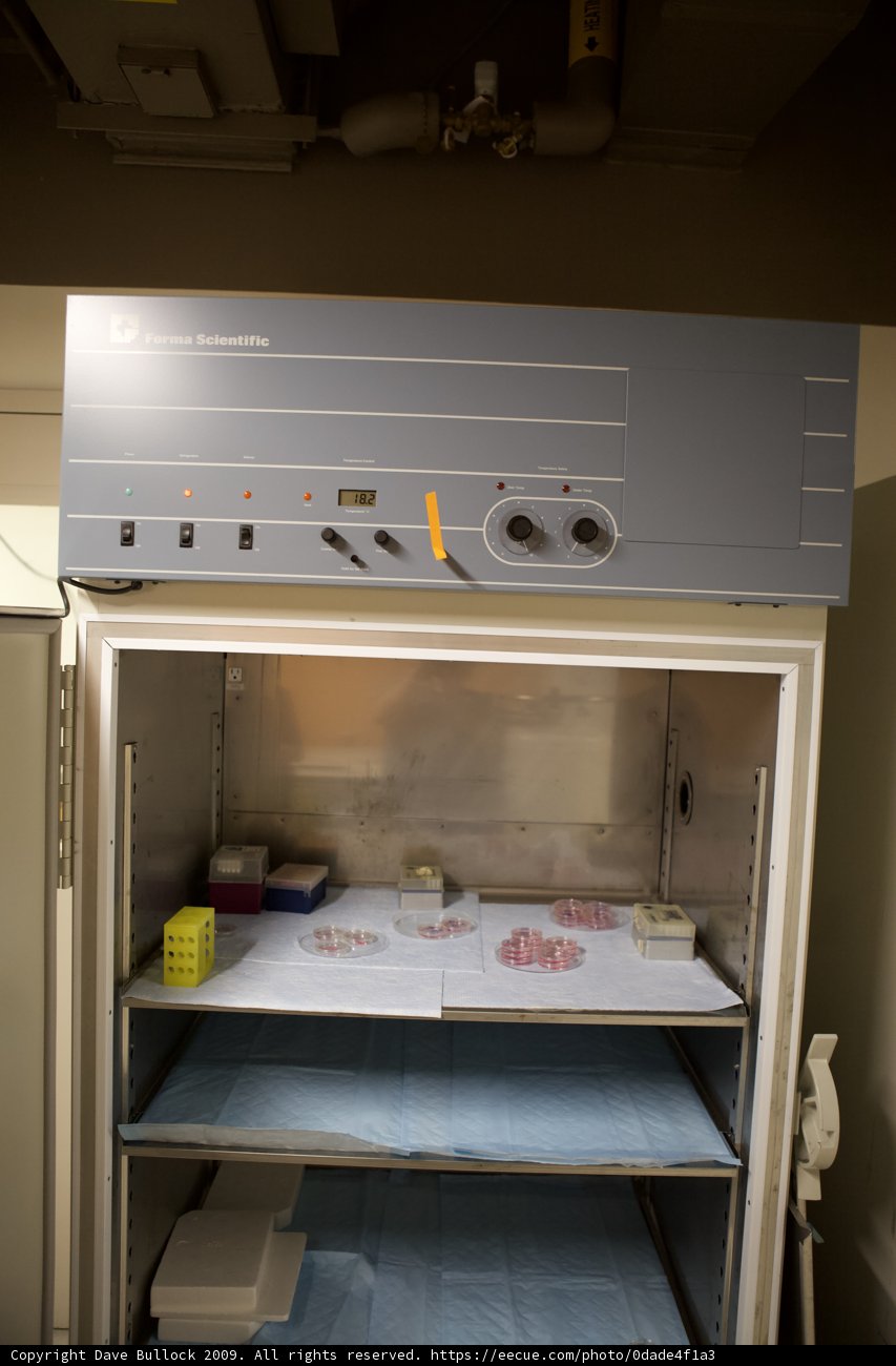 Compact Kitchen Appliance