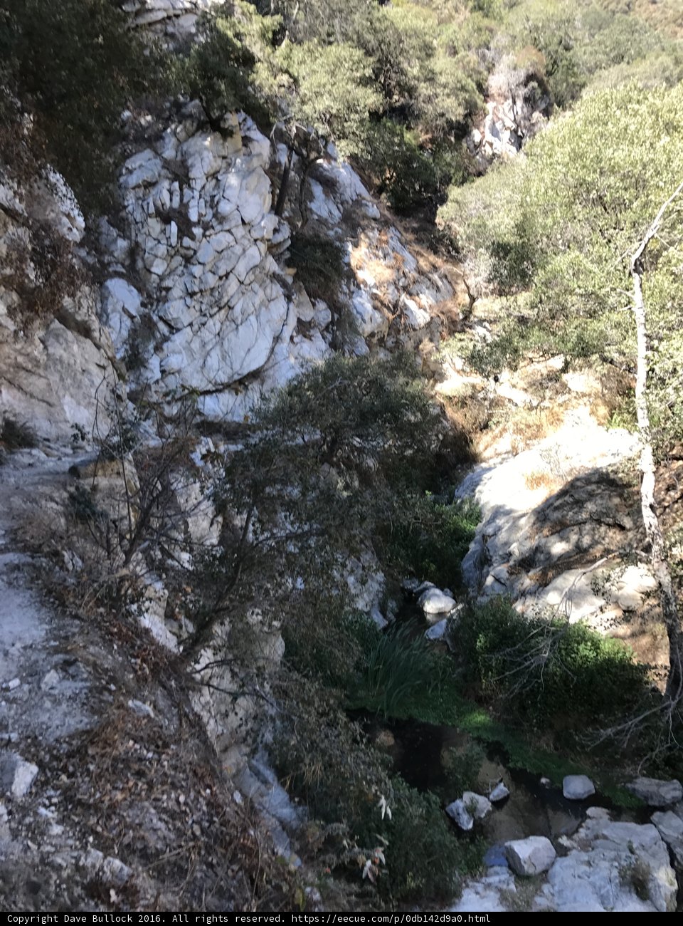 The Majestic Wilderness Trail