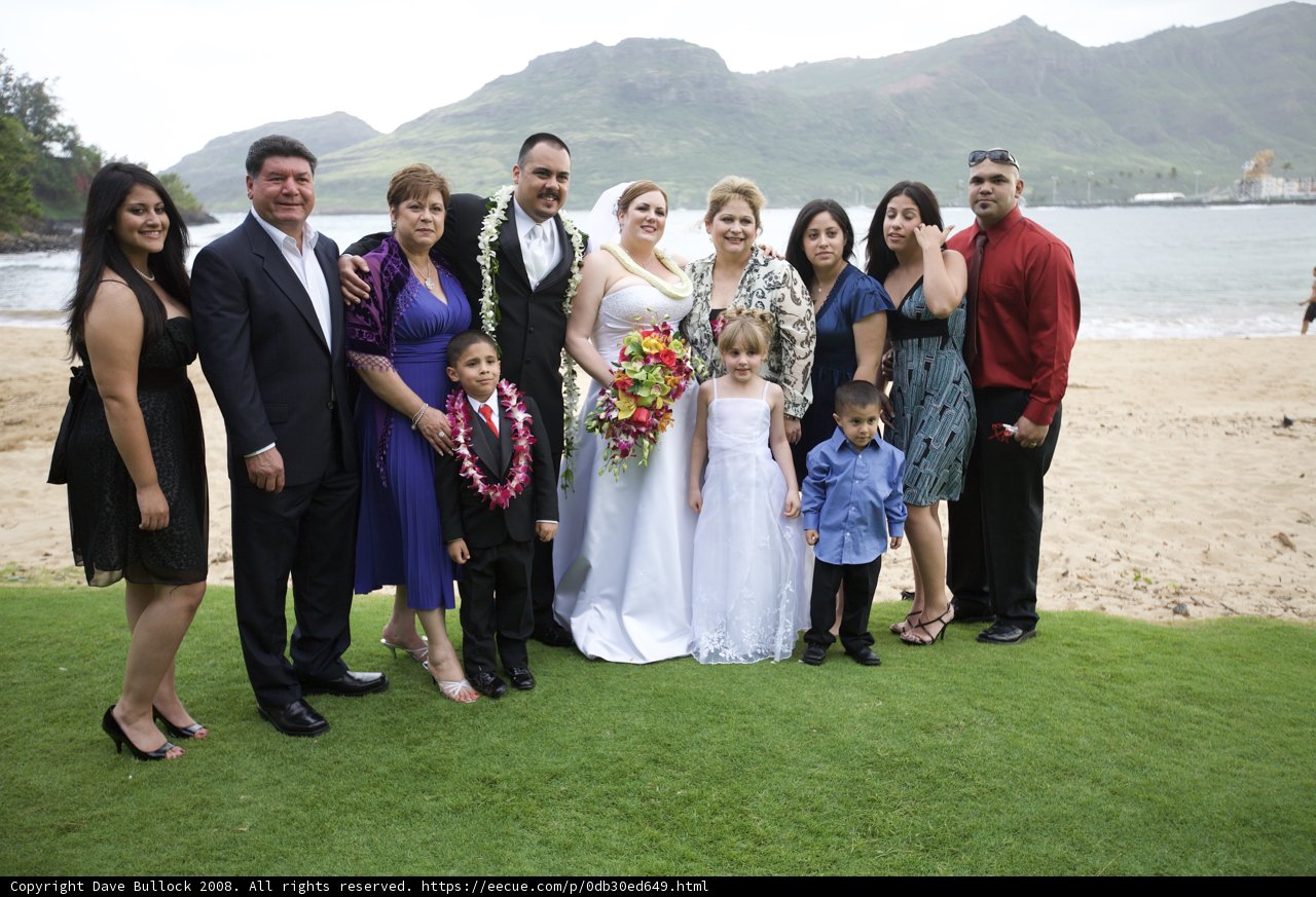 Wedding Celebration on Hawaii's Shores