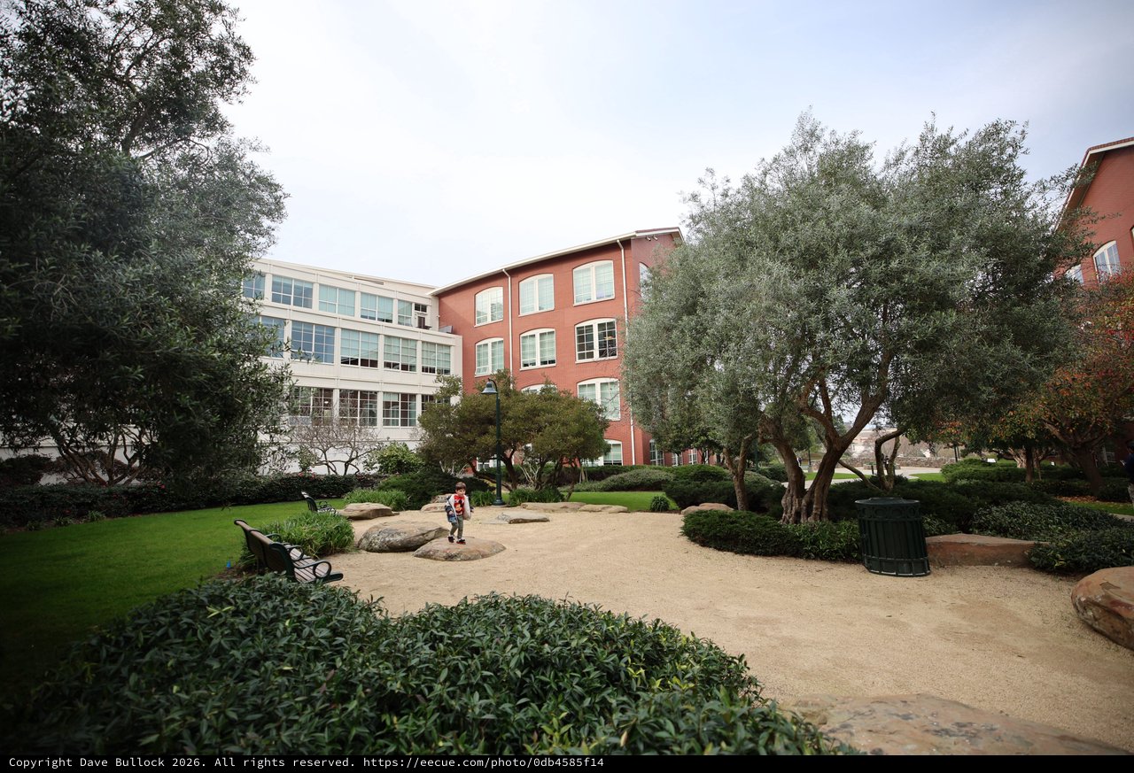 Peaceful Courtyard at Skywalker Ranch Campus