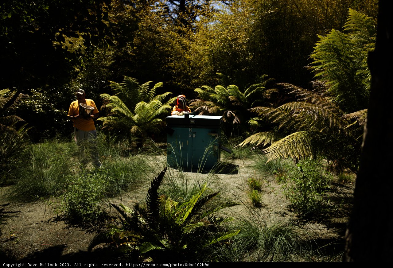 Nature's Exploration: Tales of the Field