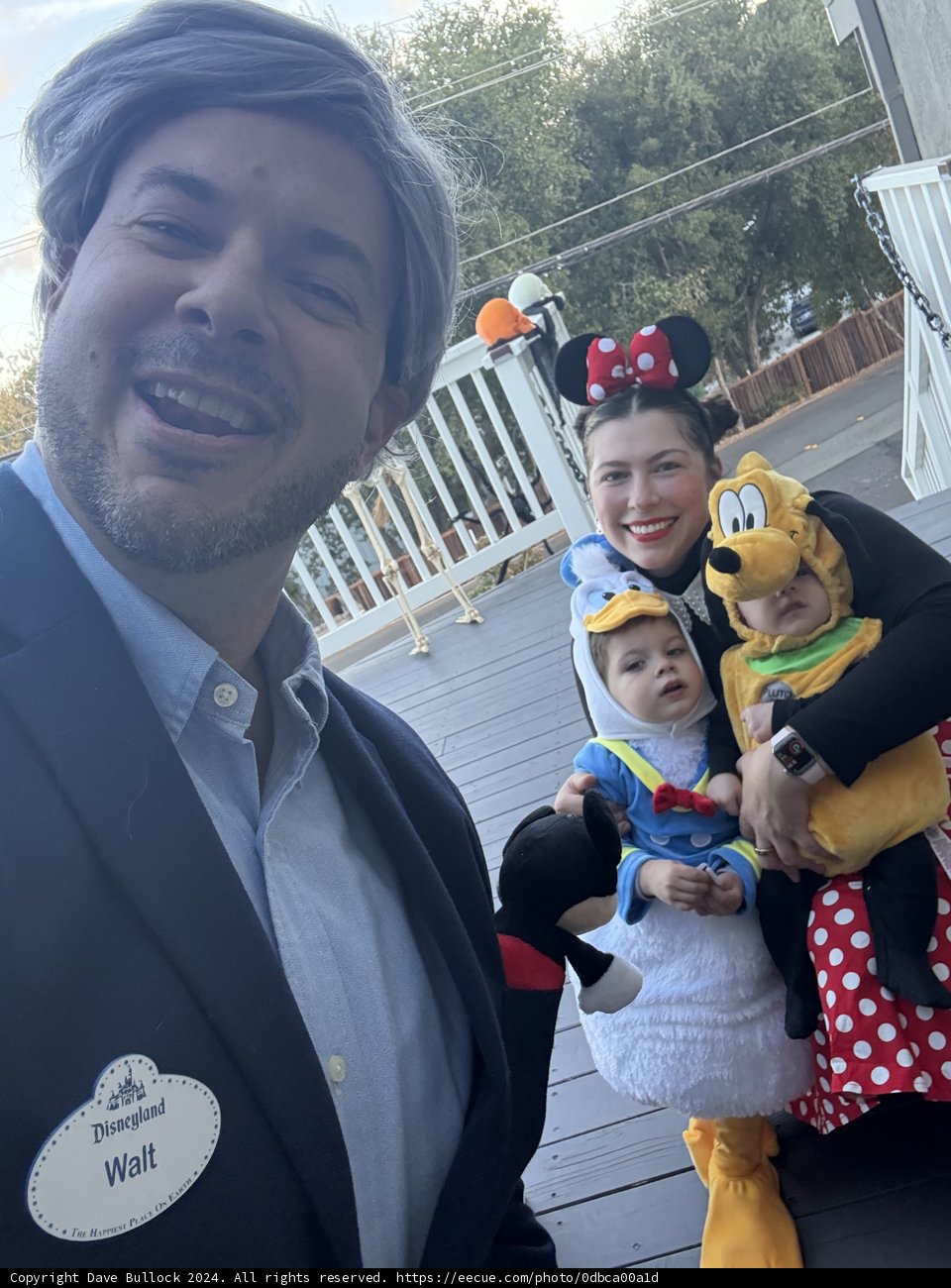 Disney Dreams Come to Life