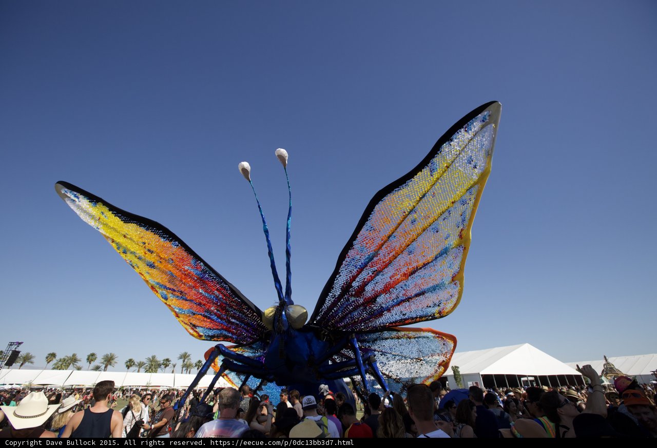 Festival Flutter: Colorful Butterfly Sculpture Takes Flight
