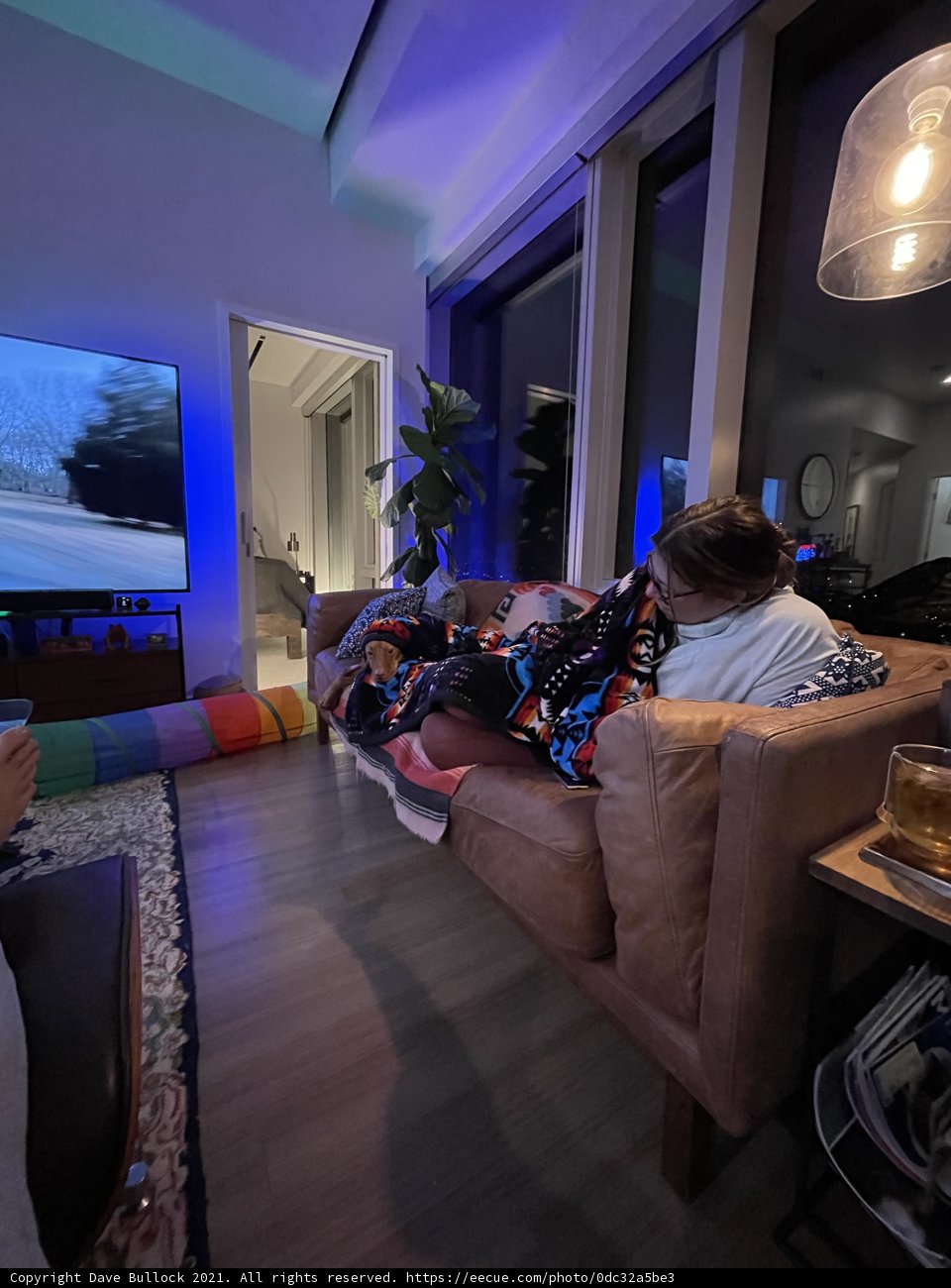 Family Night In