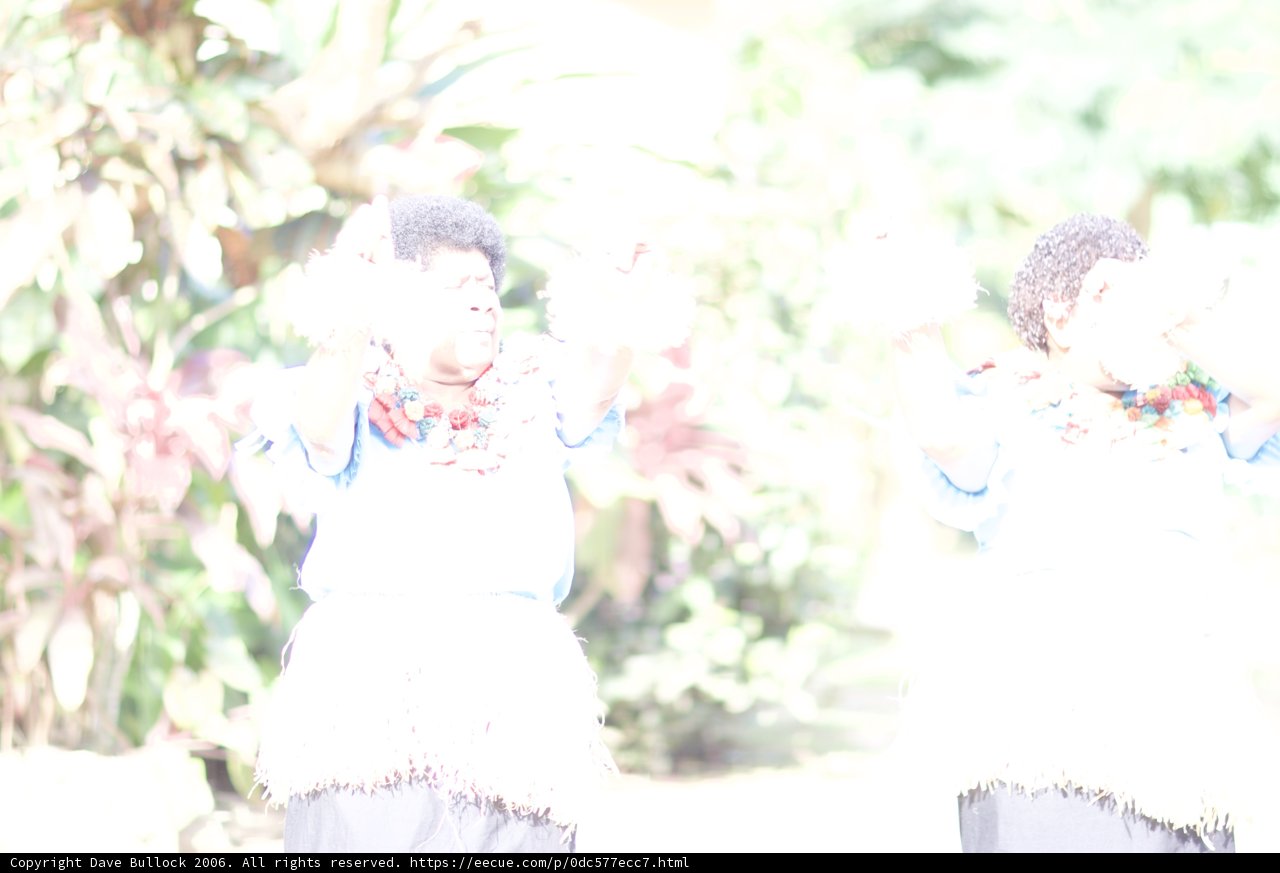 Traditional Dance in the Park