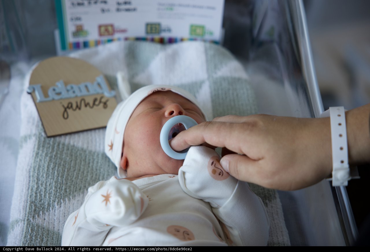 Welcome to the World, Leland