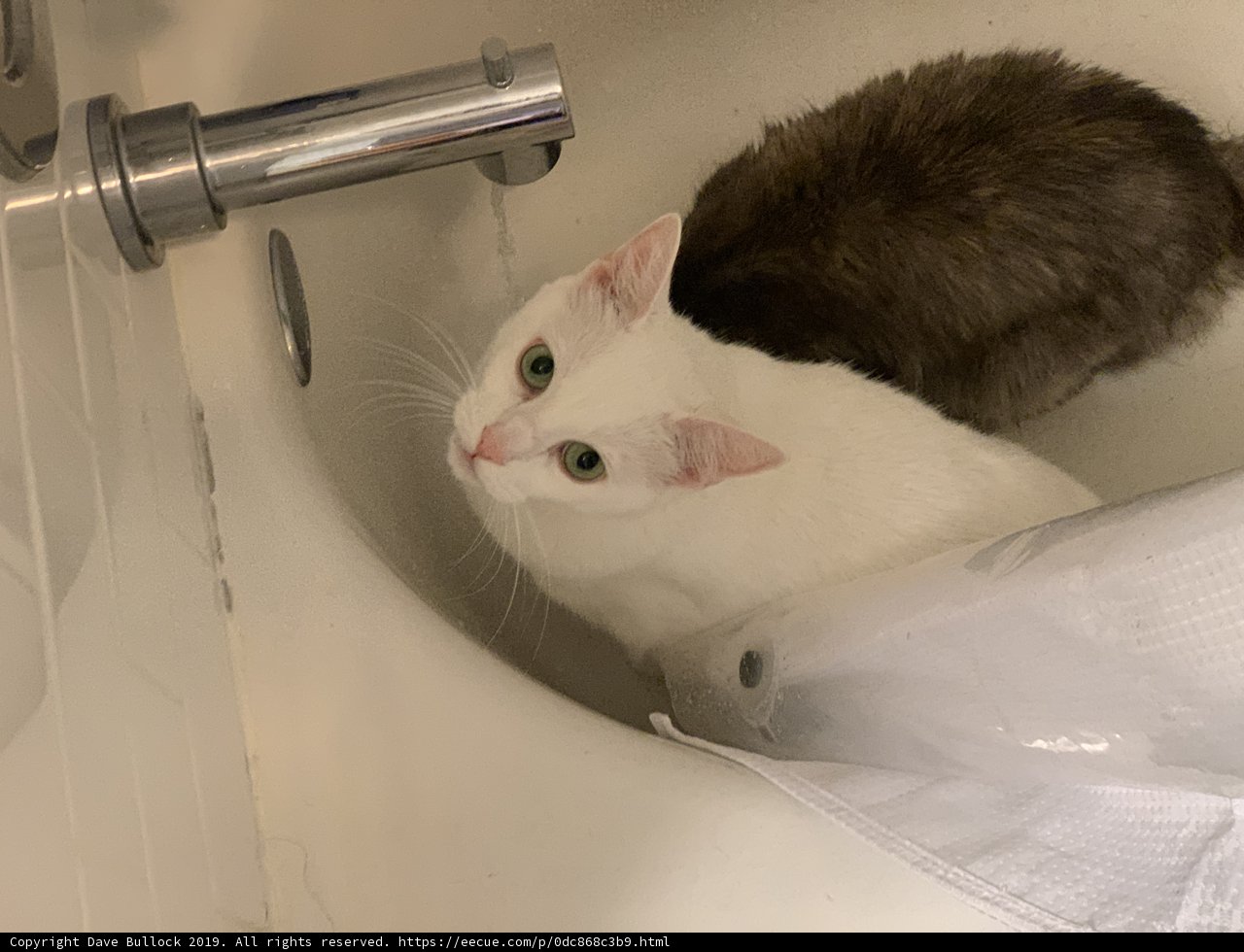 Sudsy Soaker