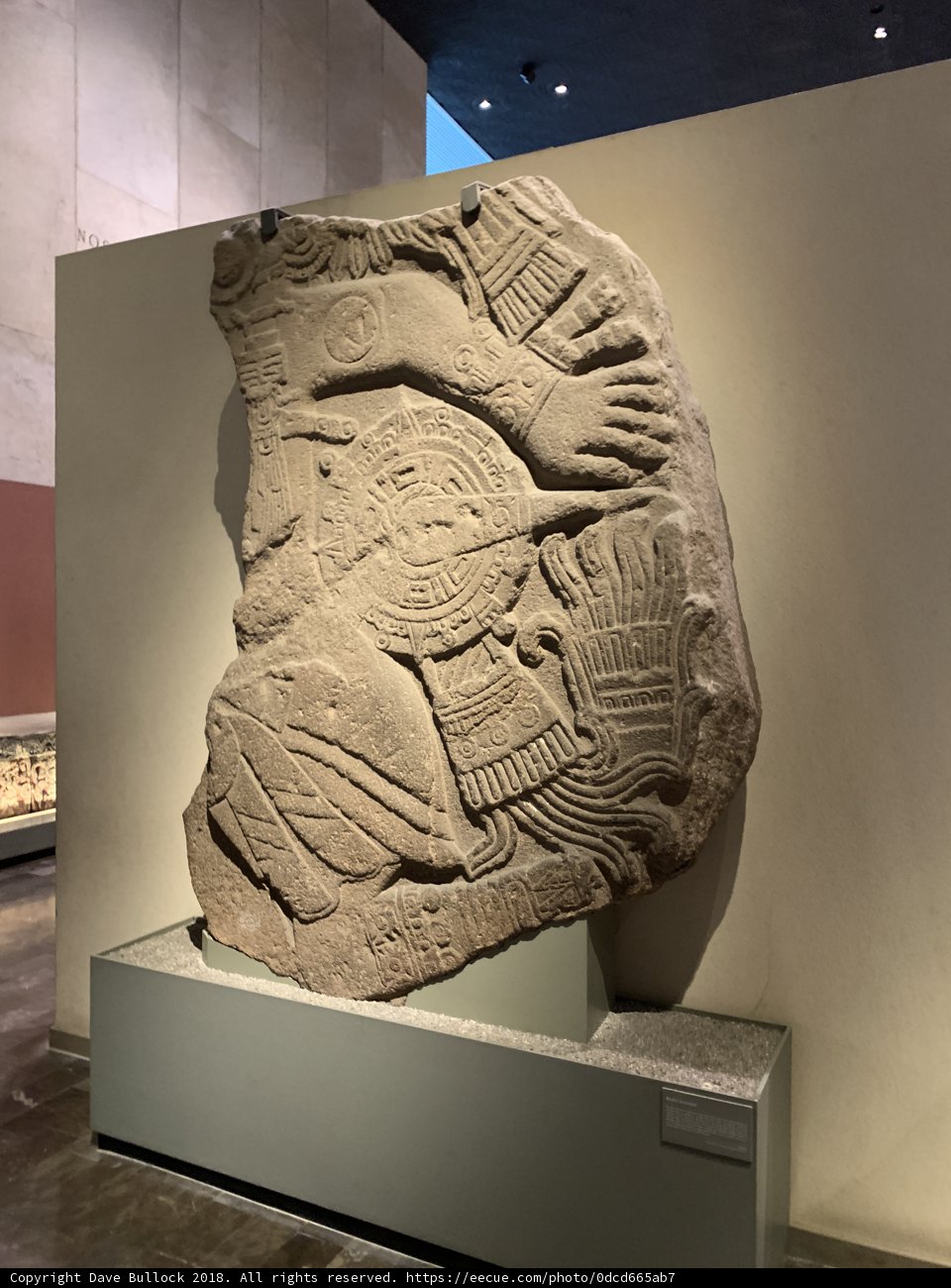 Ancient Artifacts on Display at the Museum