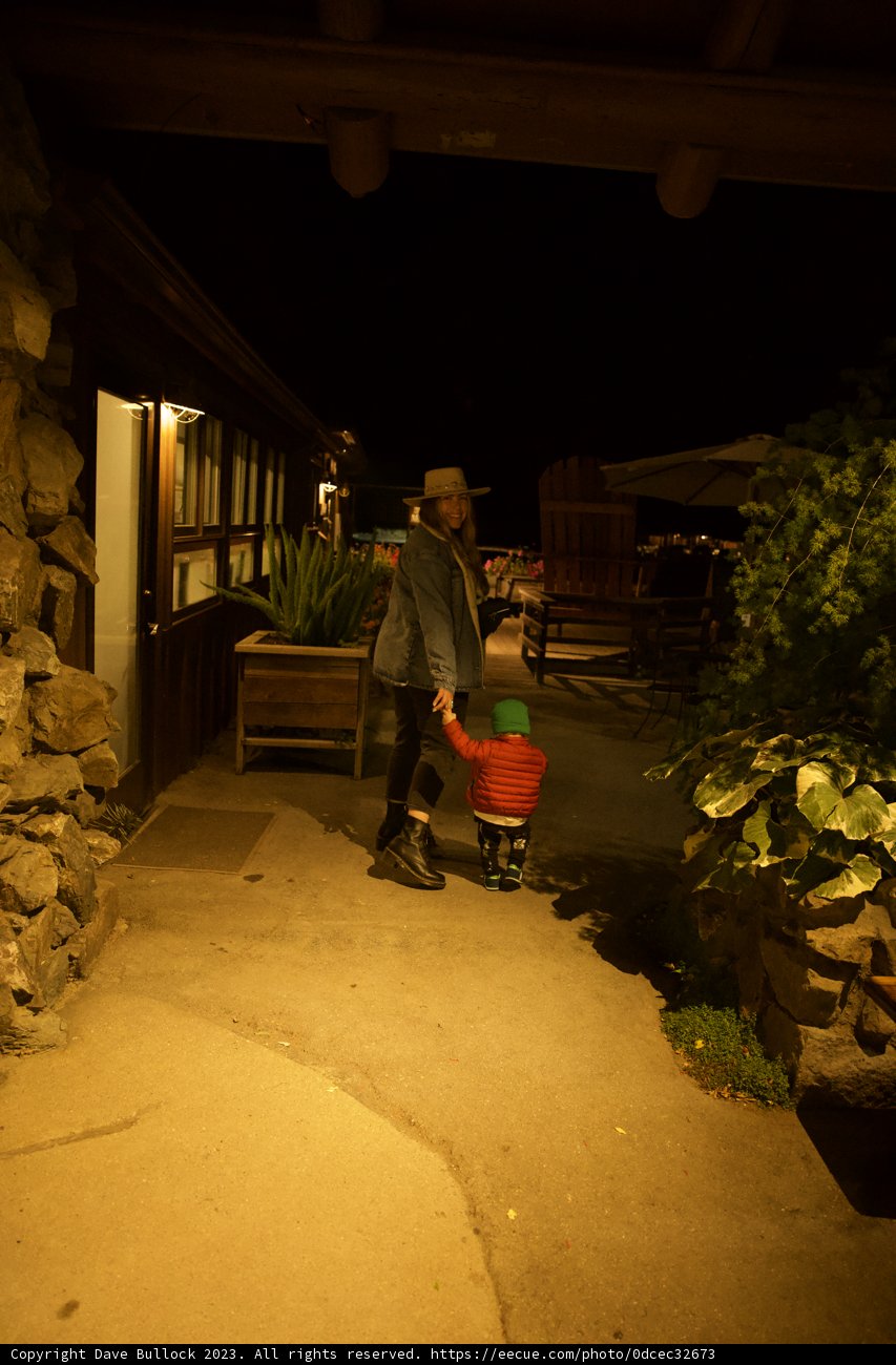 A Night Stroll in Big Sur