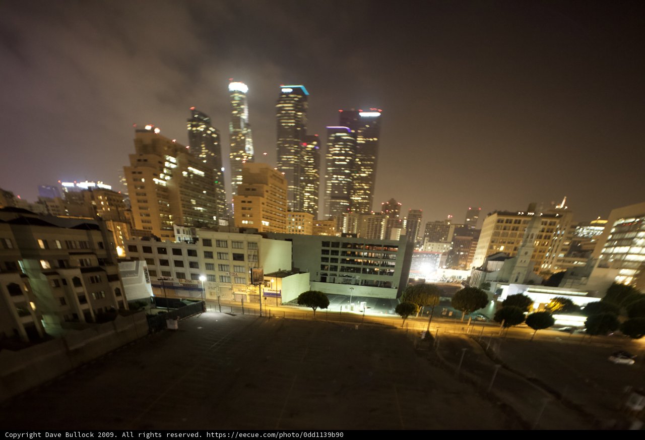 Nighttime in the Urban Jungle
