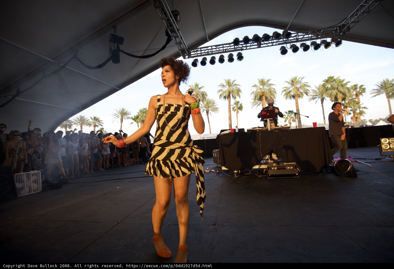 Zebra Dress Dance Party