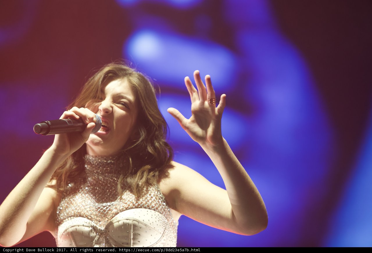 Solo Performance