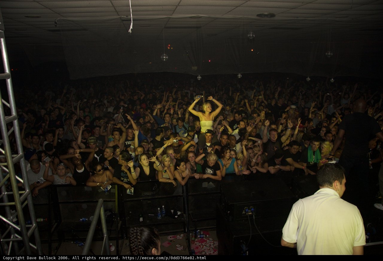 Raving with the Crowd