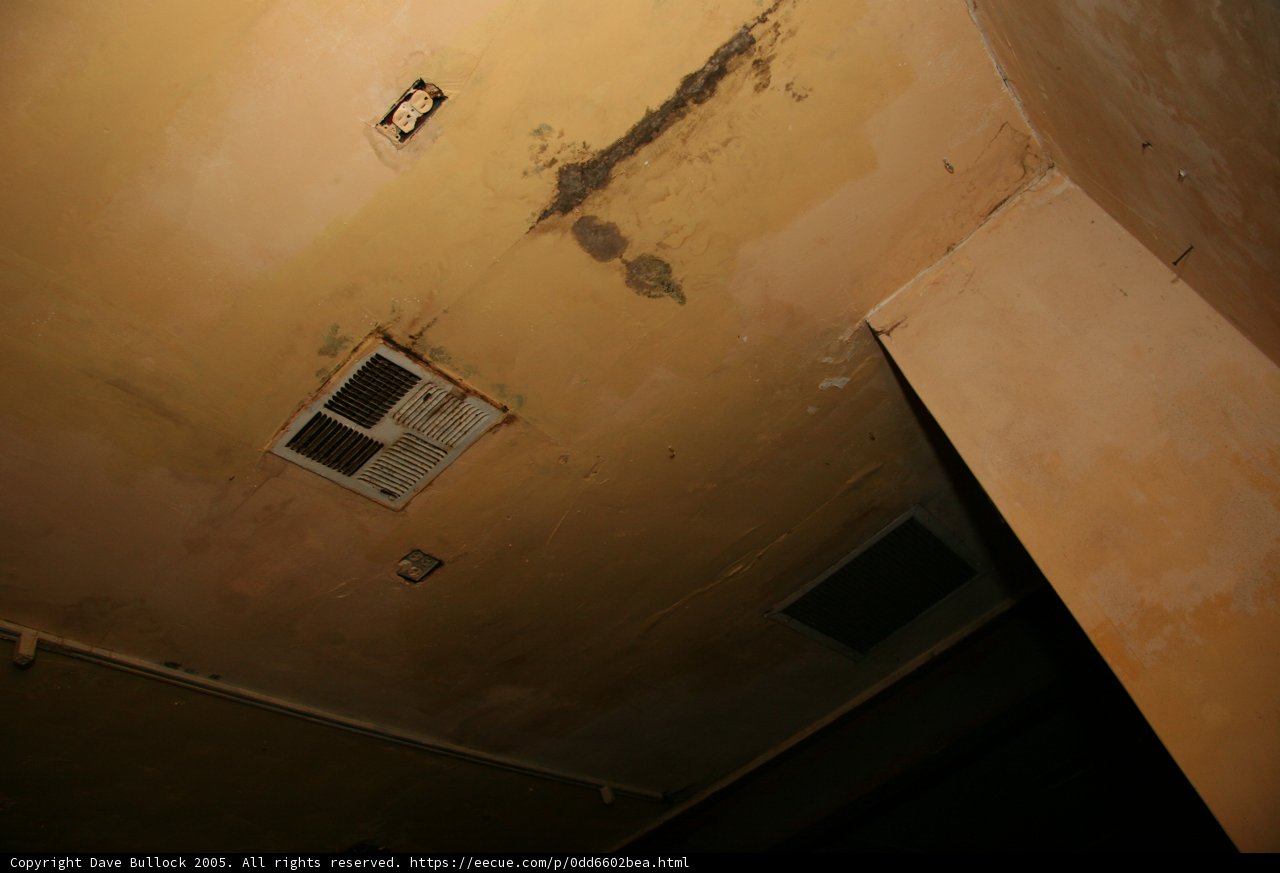 Mold Damage in a Home Building