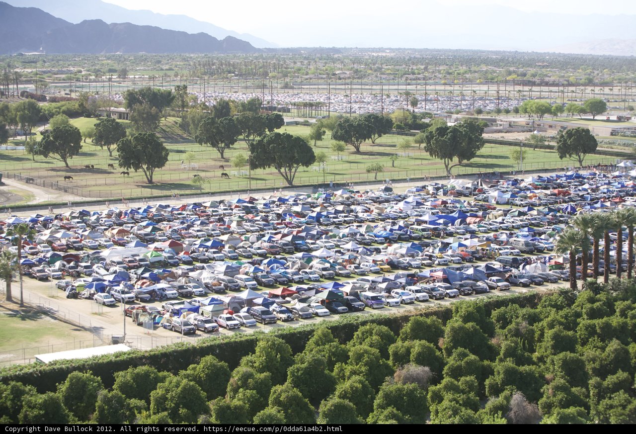 Parking Lot Oasis