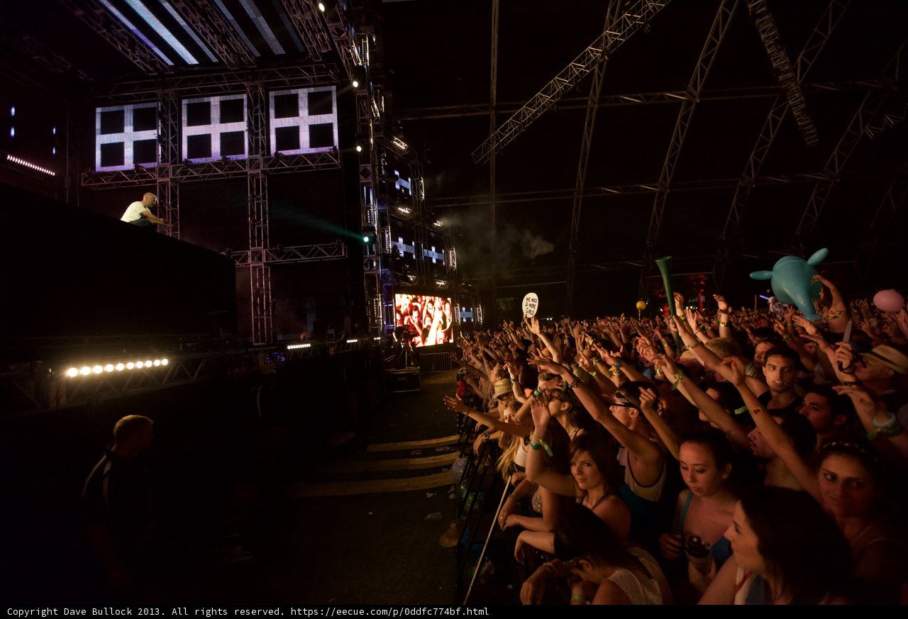 Coachella Crowd Goes Wild