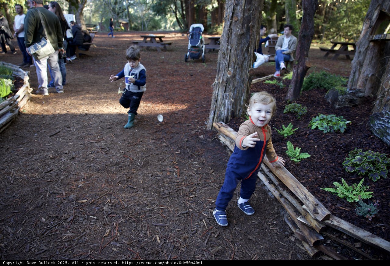 Playful Moments at Thistlewyck Grove
