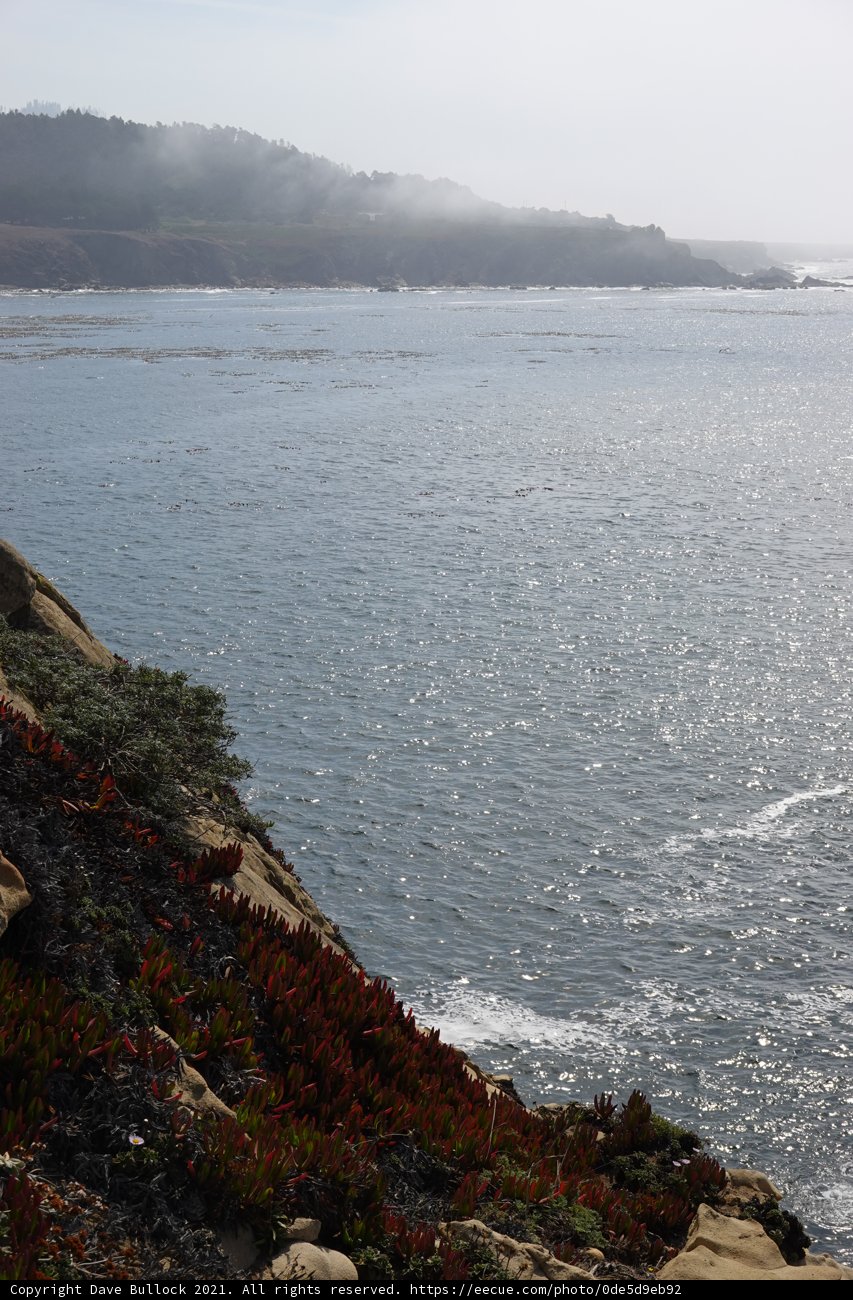 Promontory Point