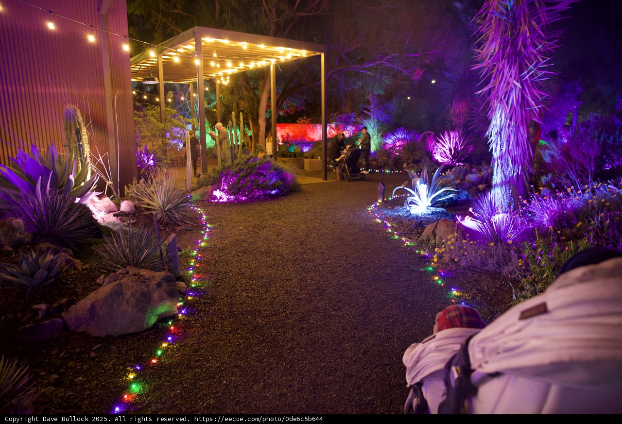 Enchanted Evenings at Garden of D'Lights
