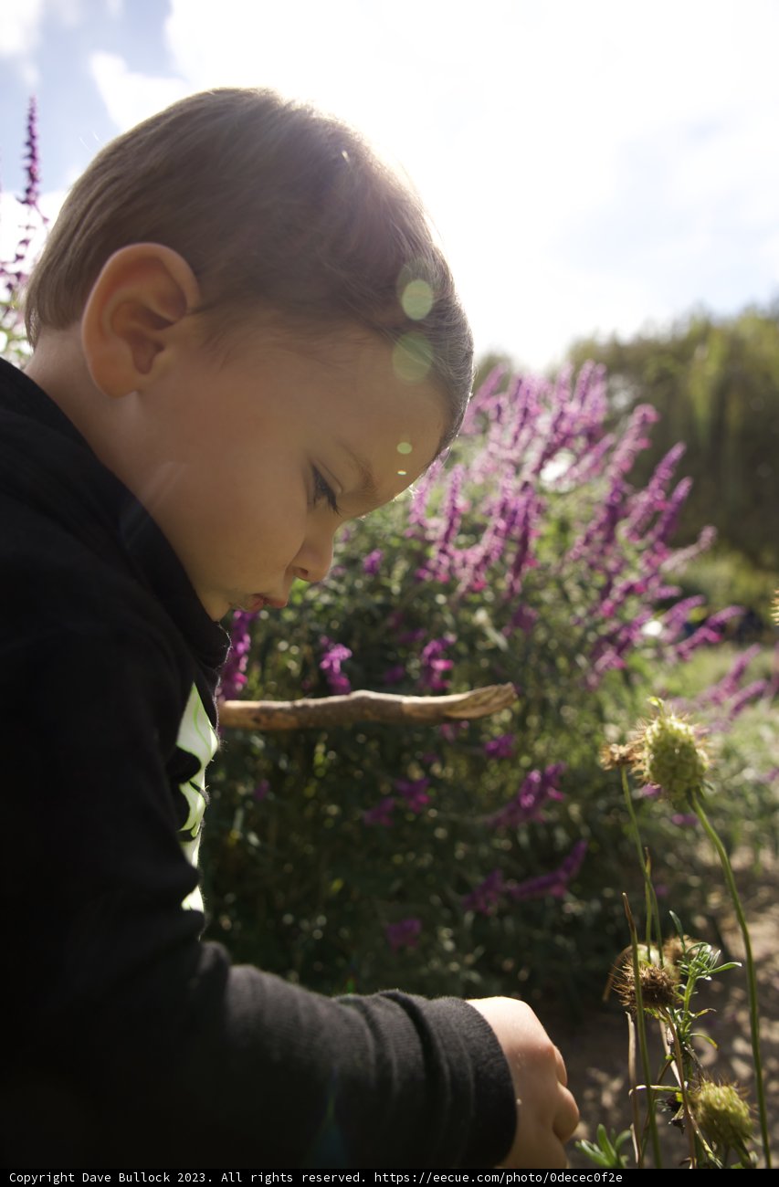The Curiosity of Childhood among Nature's Blooms