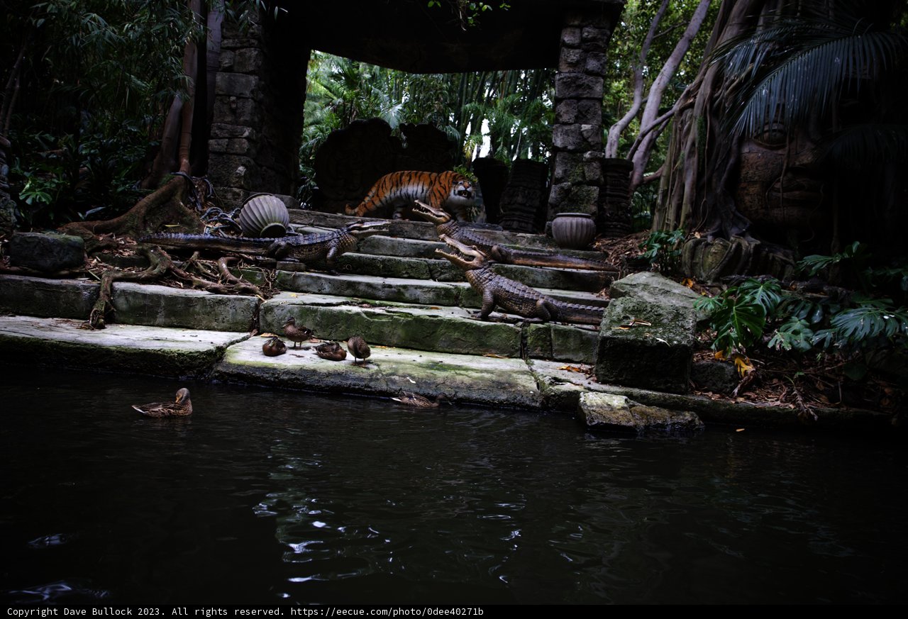 Unexpected Companions at the Zoo