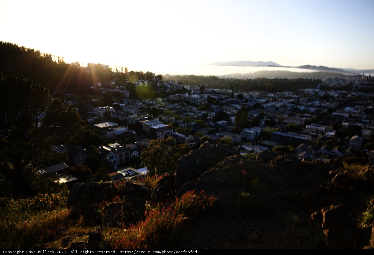 Hillside Haven: A City's Serenade