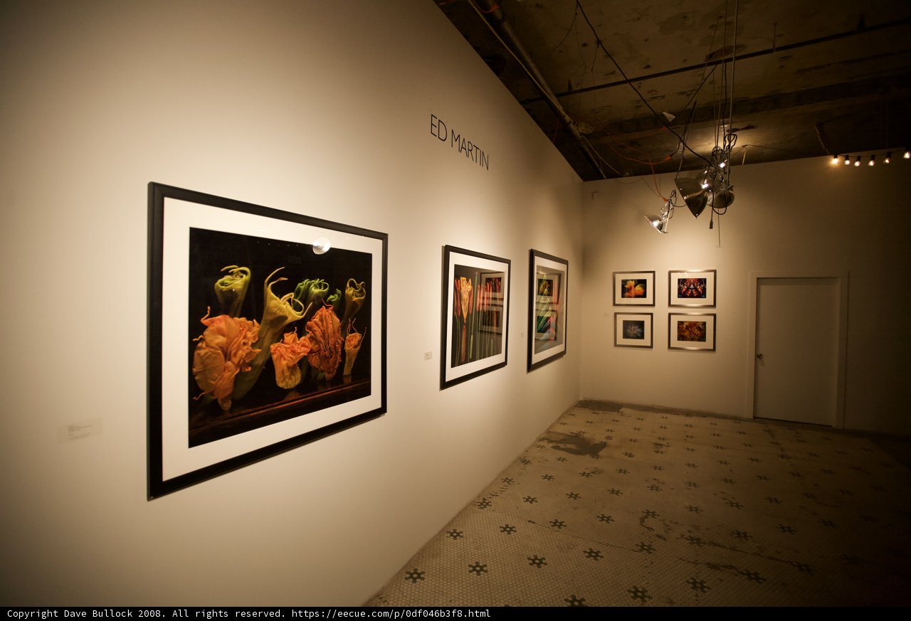 Art Gallery Corridor with Seven Paintings