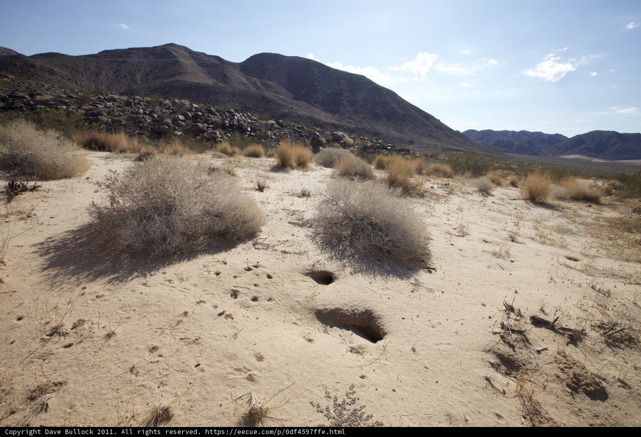 Majestic Desert Landscape