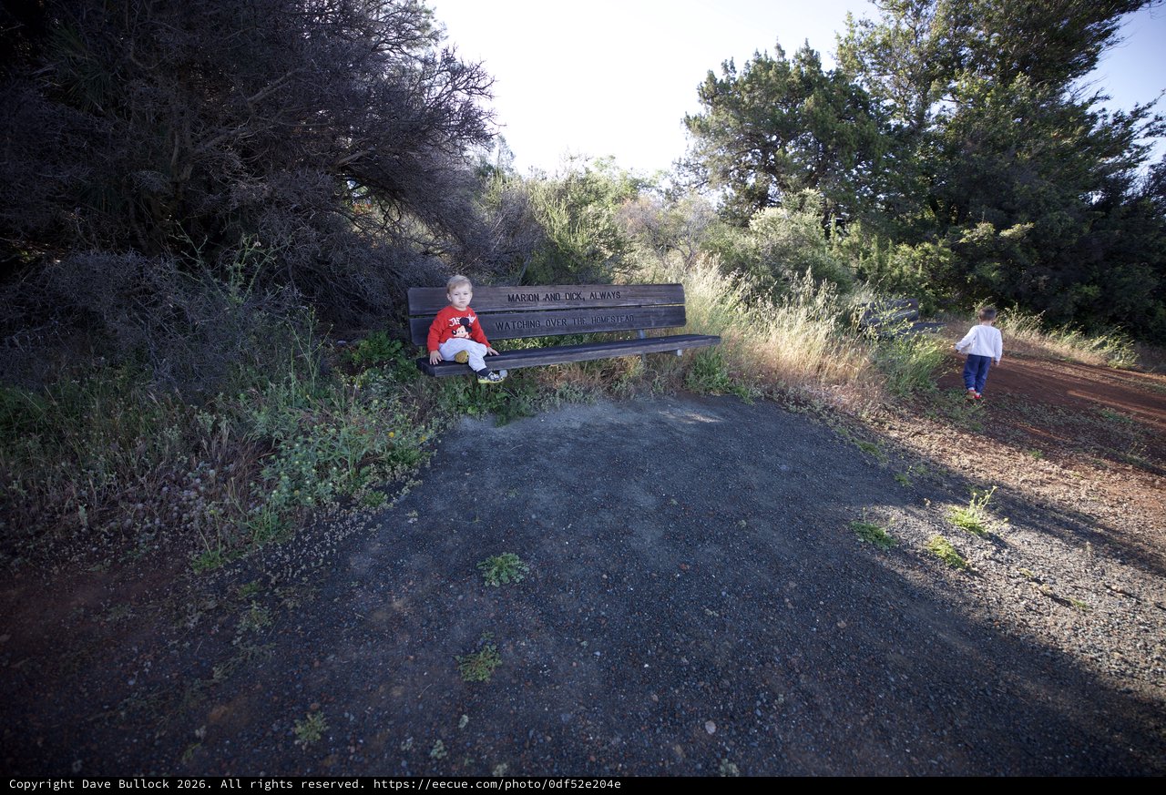Children at Memorial Bench on Mount Diablo Trail