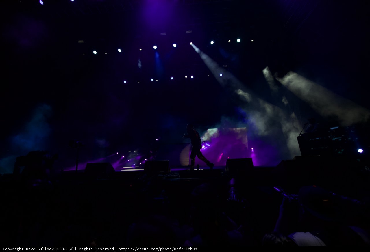Purple Haze