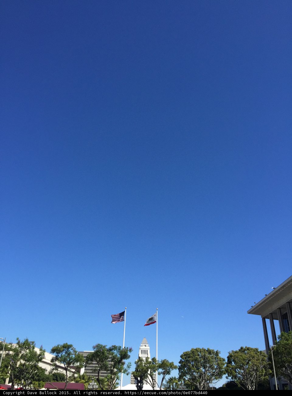 Civic Center Flags
