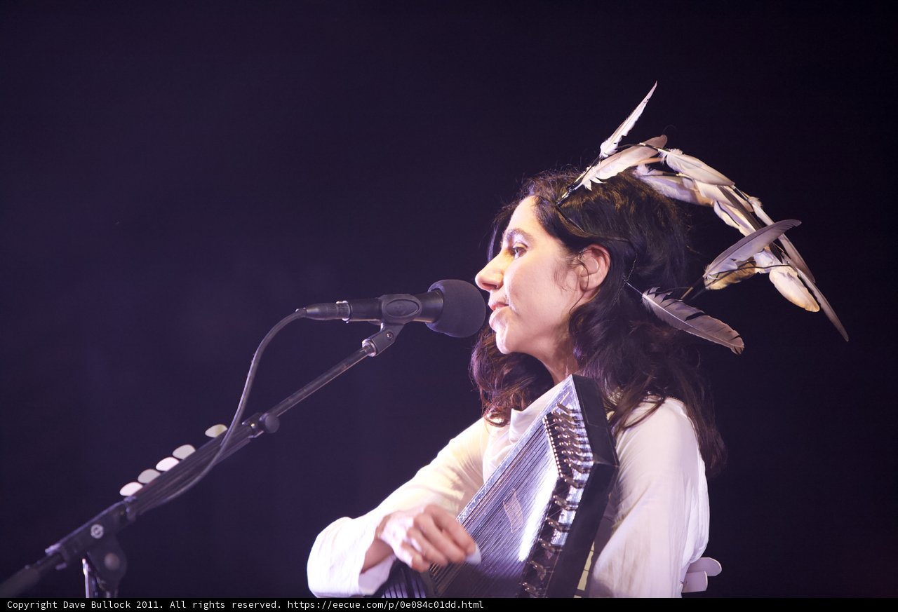 Feathered Songstress