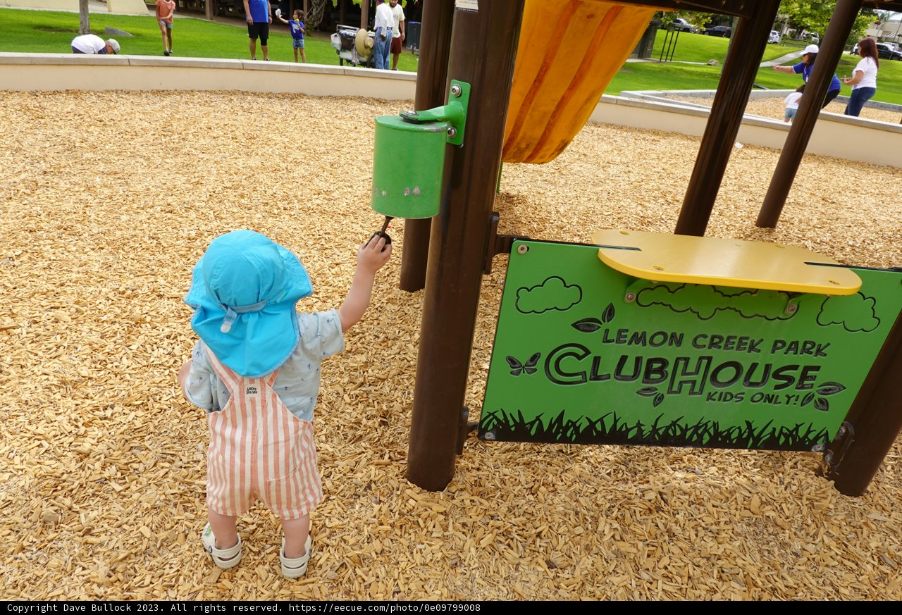 Summer Joy in the Playground