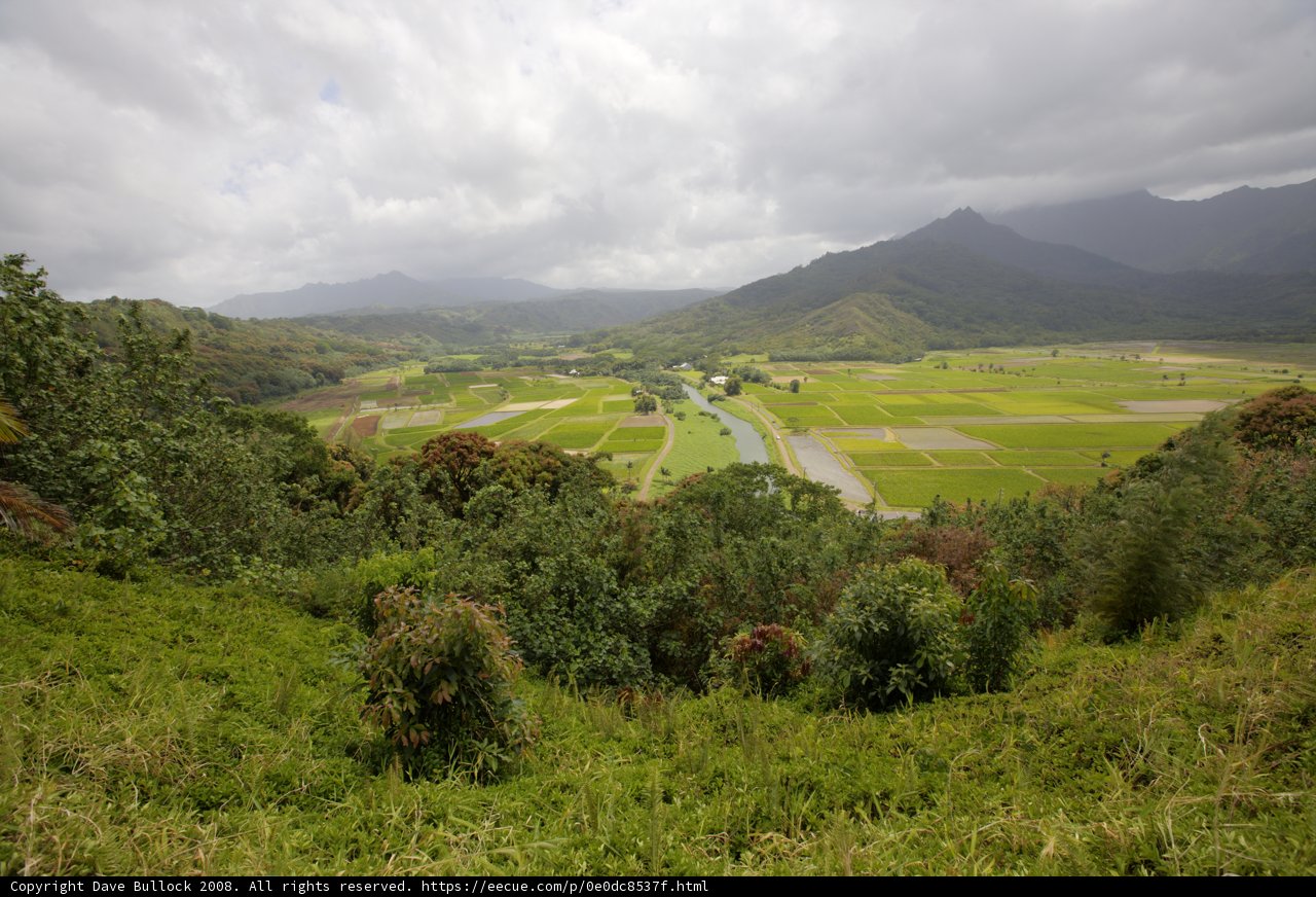 Majestic view of a lush valley