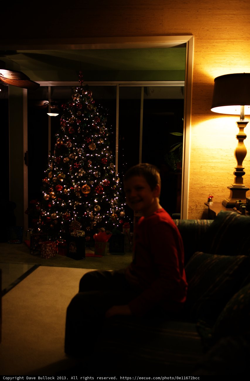 Holiday Relaxation