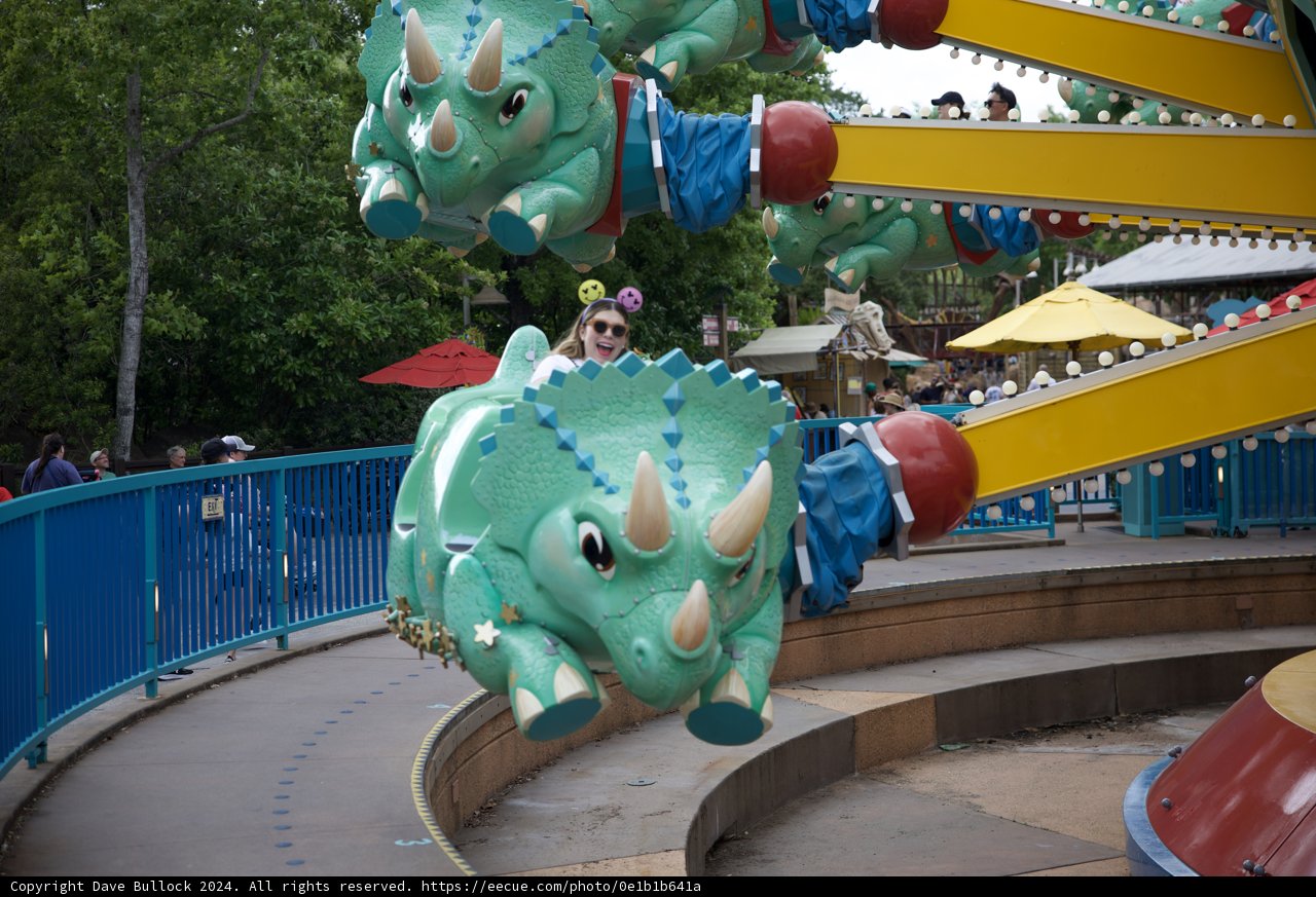 An Adventurous Day at Disneyworld Animal Kingdom