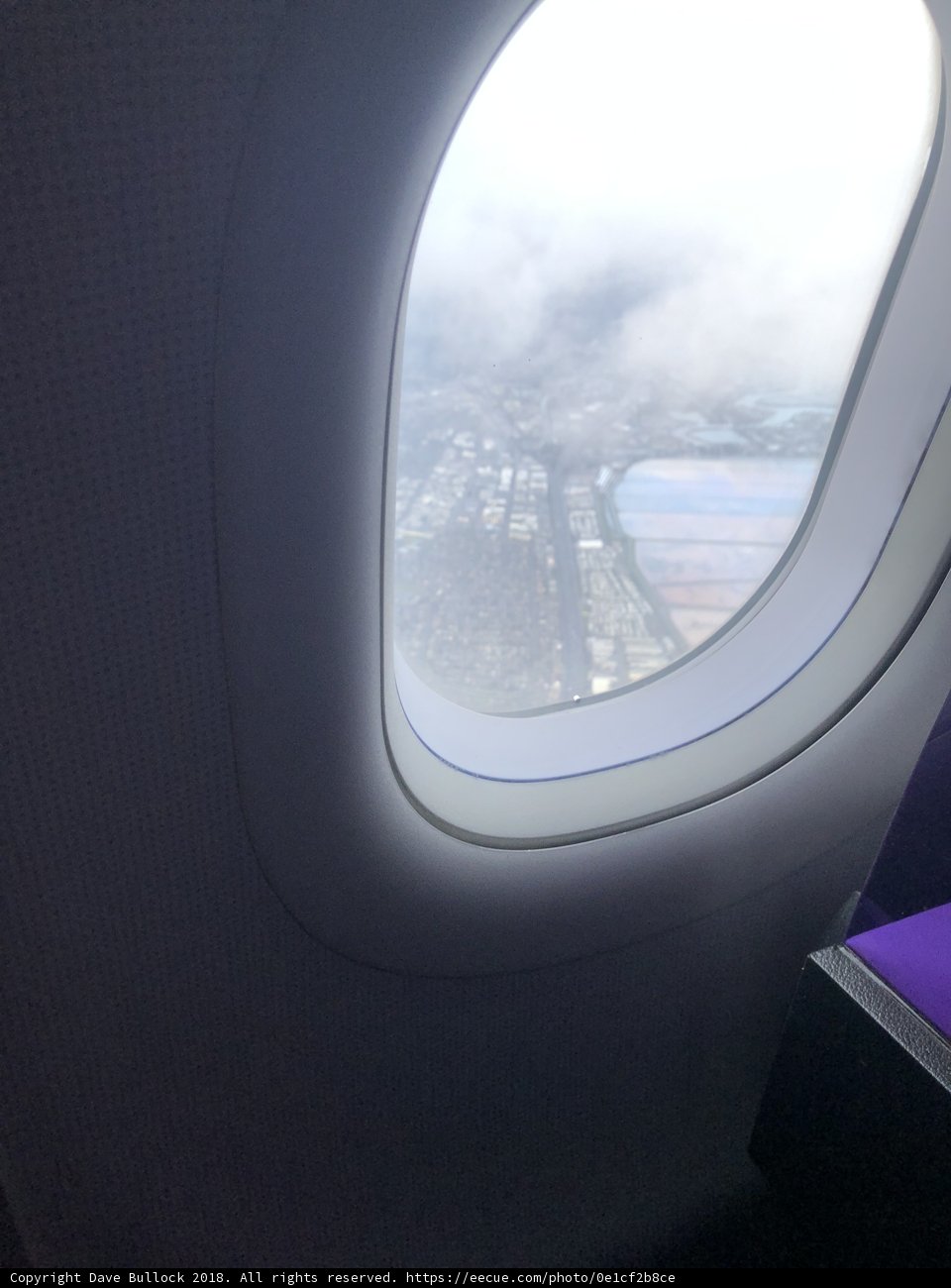 Window to the World