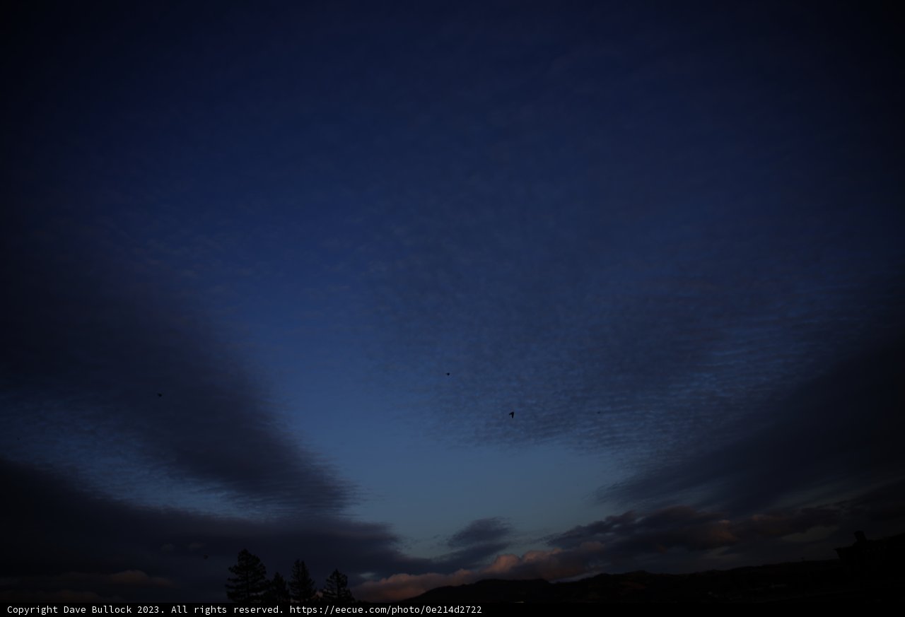 Soaring High in Napa Skies
